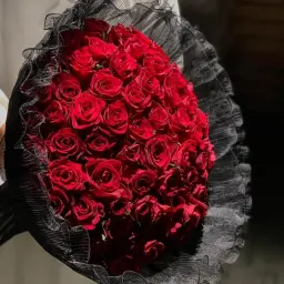 جوري احمر 3